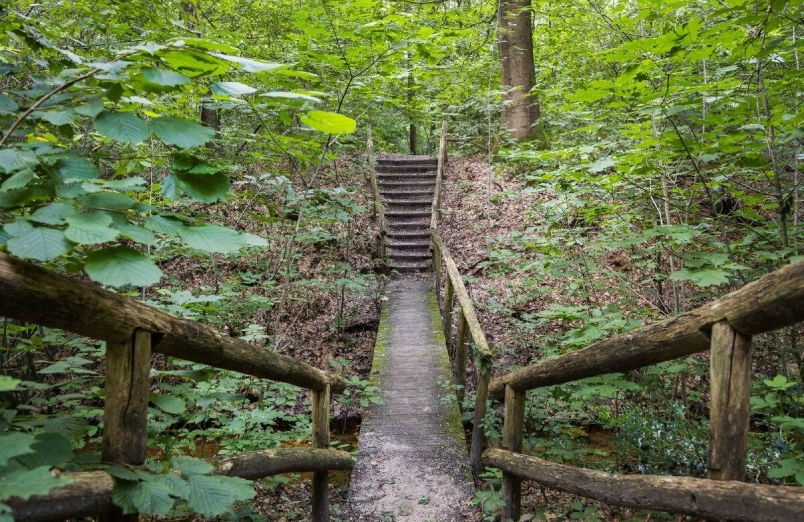 2 p wellness appartement apeldoorn jacuzzi sauna 63