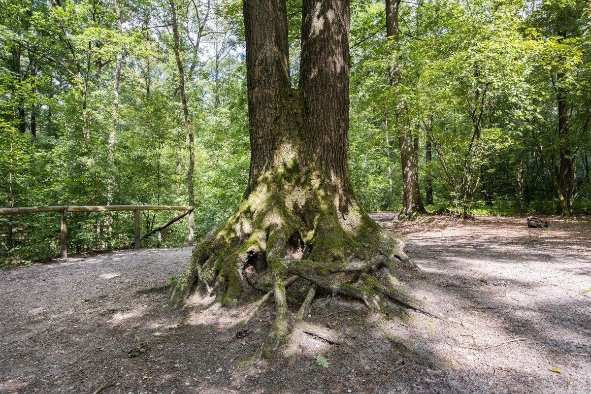 2 p wellness appartement apeldoorn jacuzzi sauna 66