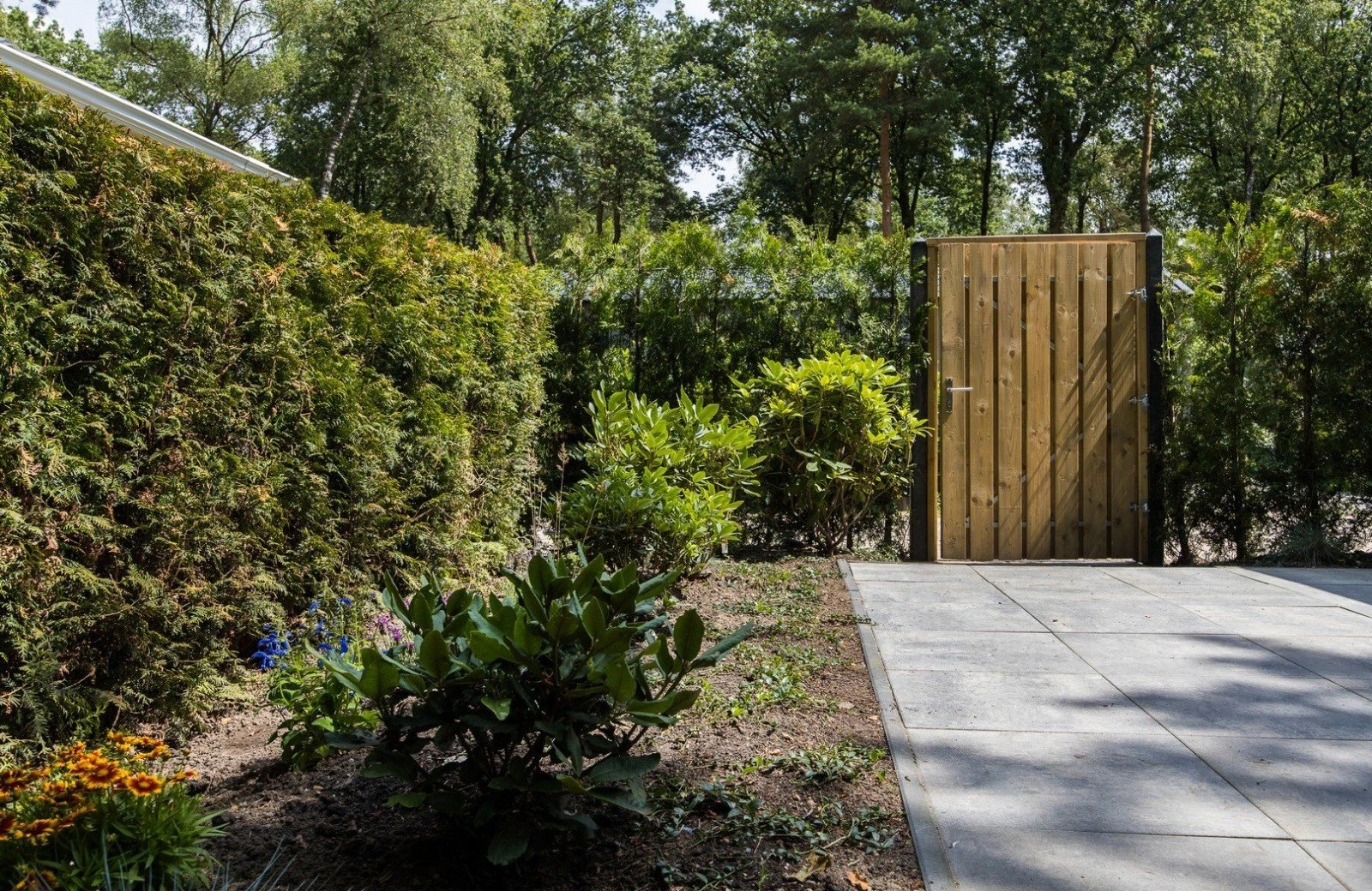 4 pwellness chalet hoenderloo veluwe hottube sauna 42