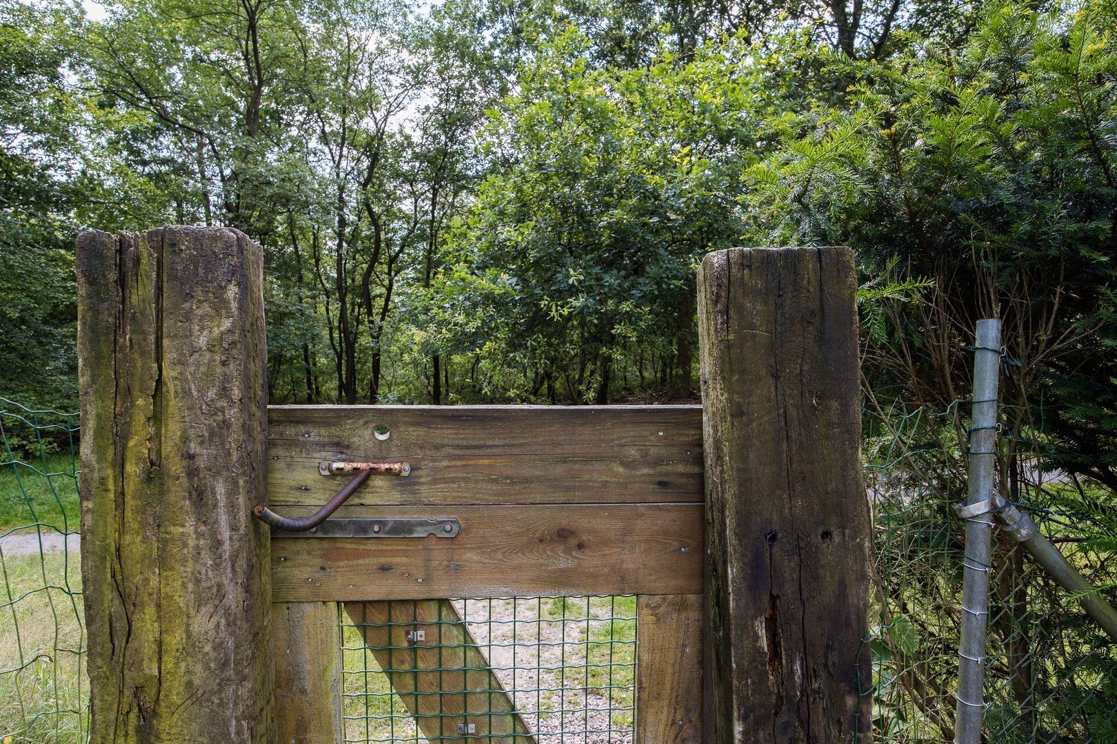 4 pwellness chalet hoenderloo veluwe hottube sauna 48