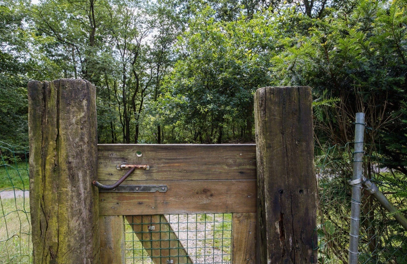 4 pwellness chalet hoenderloo veluwe hottube sauna 48