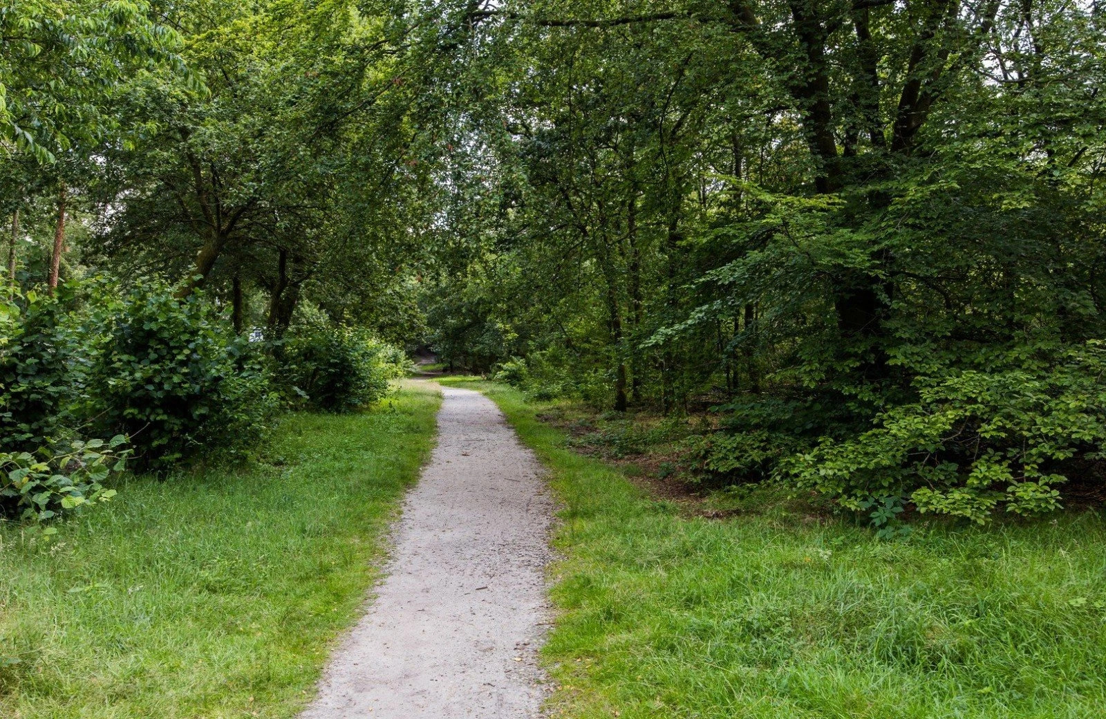 4 pwellness chalet hoenderloo veluwe hottube sauna 49