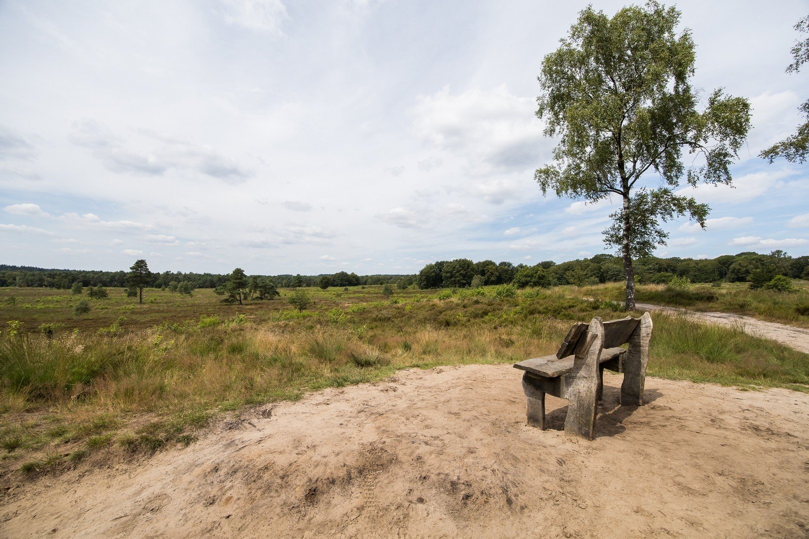 Natuur & actief buiten