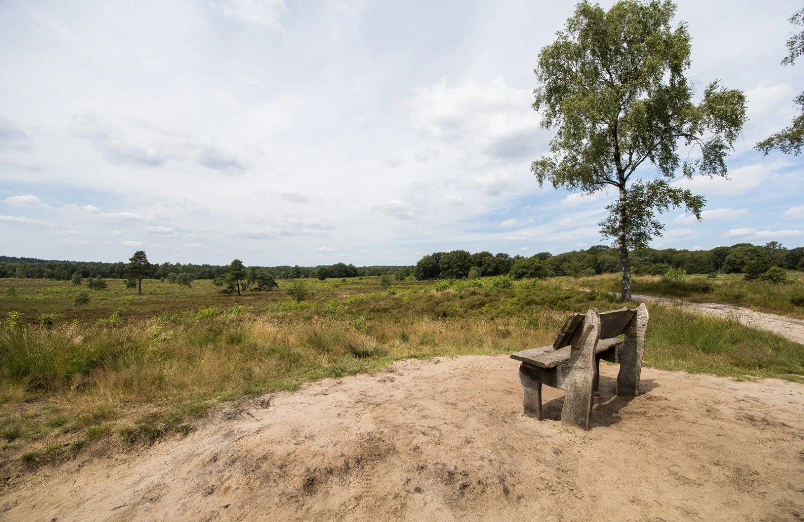 4 pwellness chalet hoenderloo veluwe hottube sauna 53