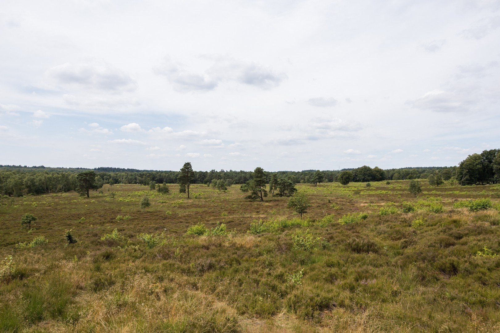 4 pwellness chalet hoenderloo veluwe hottube sauna 54