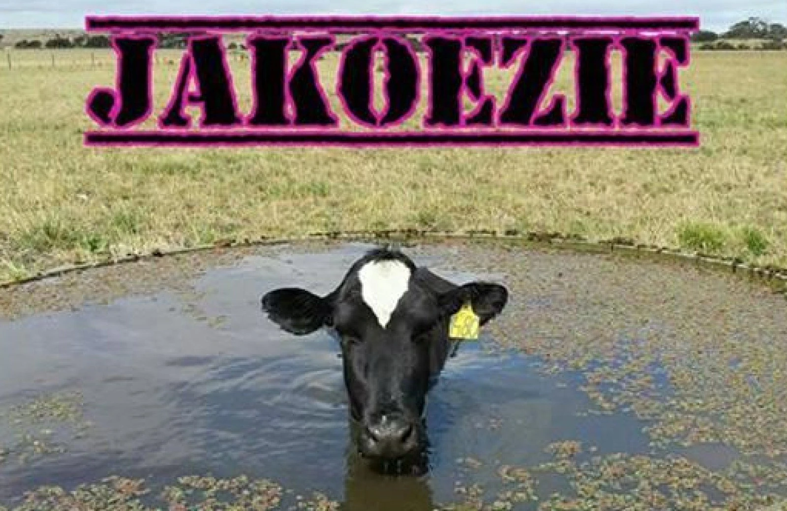 Accommodatie met jakoezie