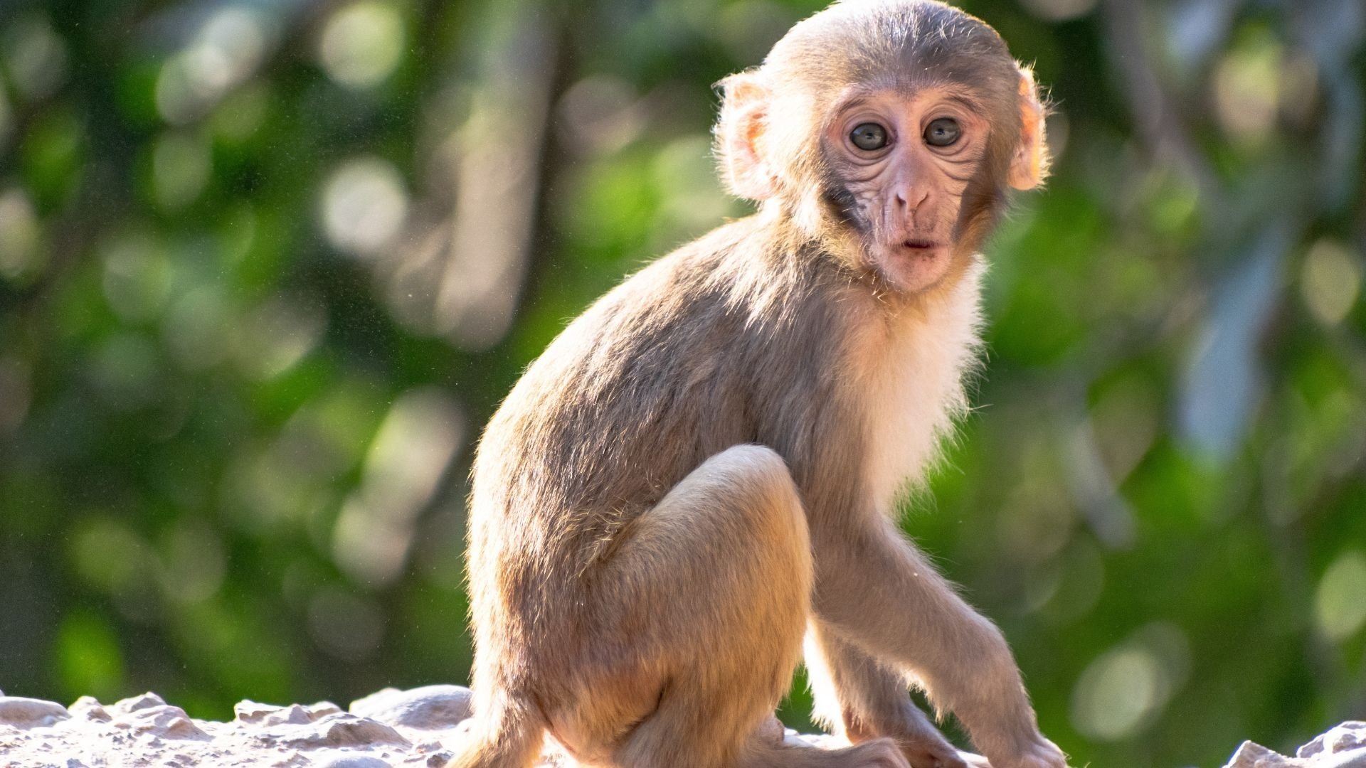 Uitjes voor het hele gezin