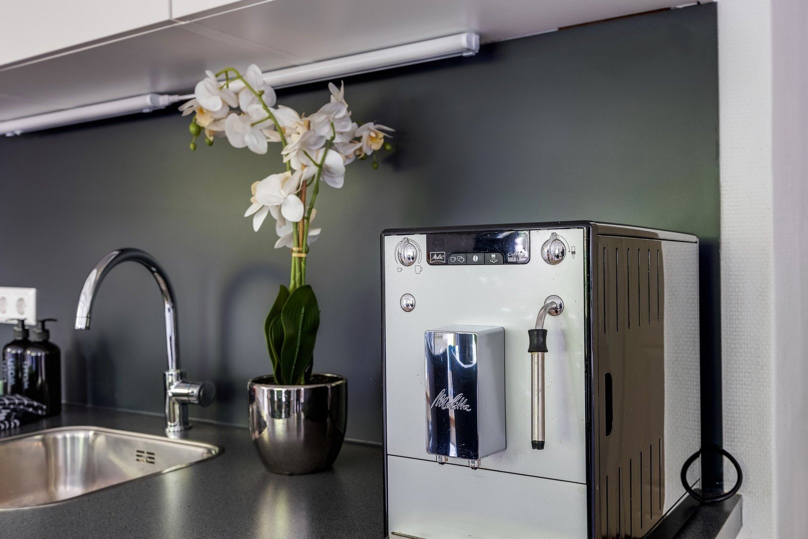 Chalet 30 8 persoons chalet 20