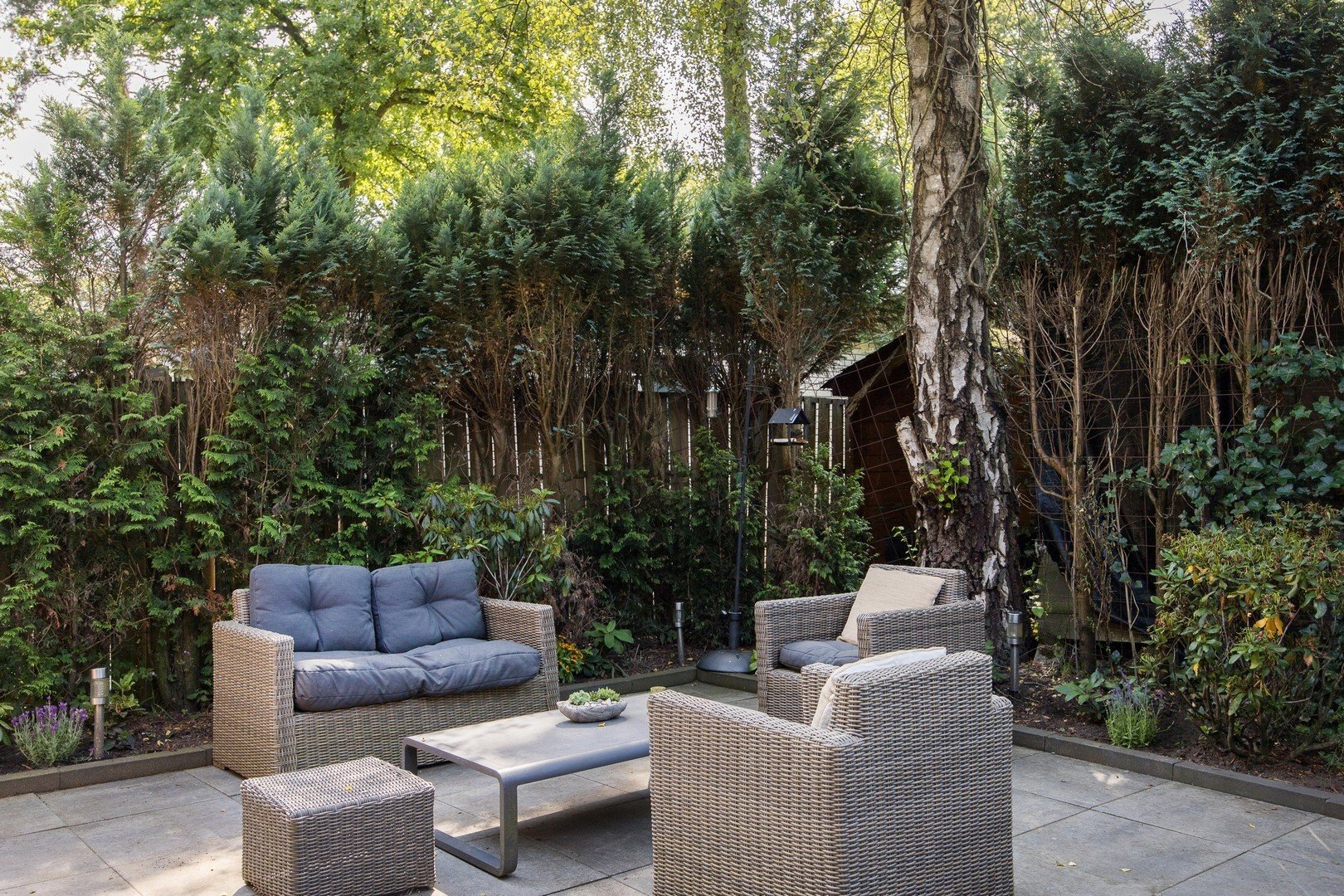 Chalet 30 8 persoons chalet 59