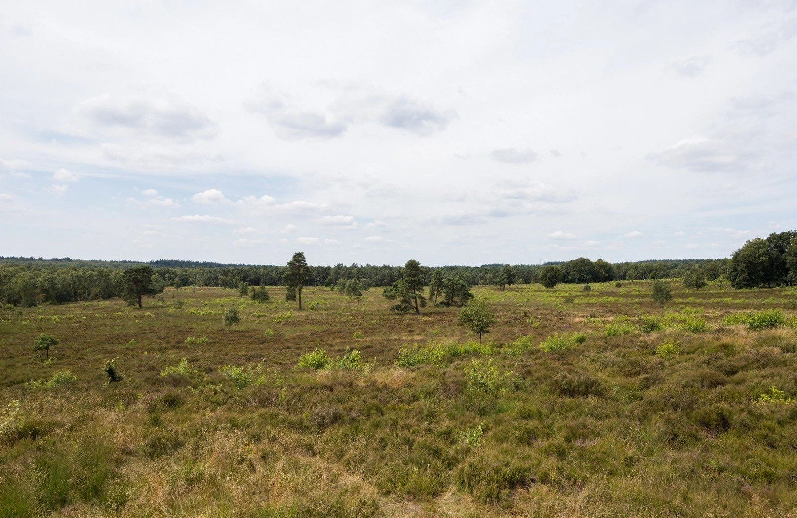Luxe chalet veluwe sauna en hottub 59