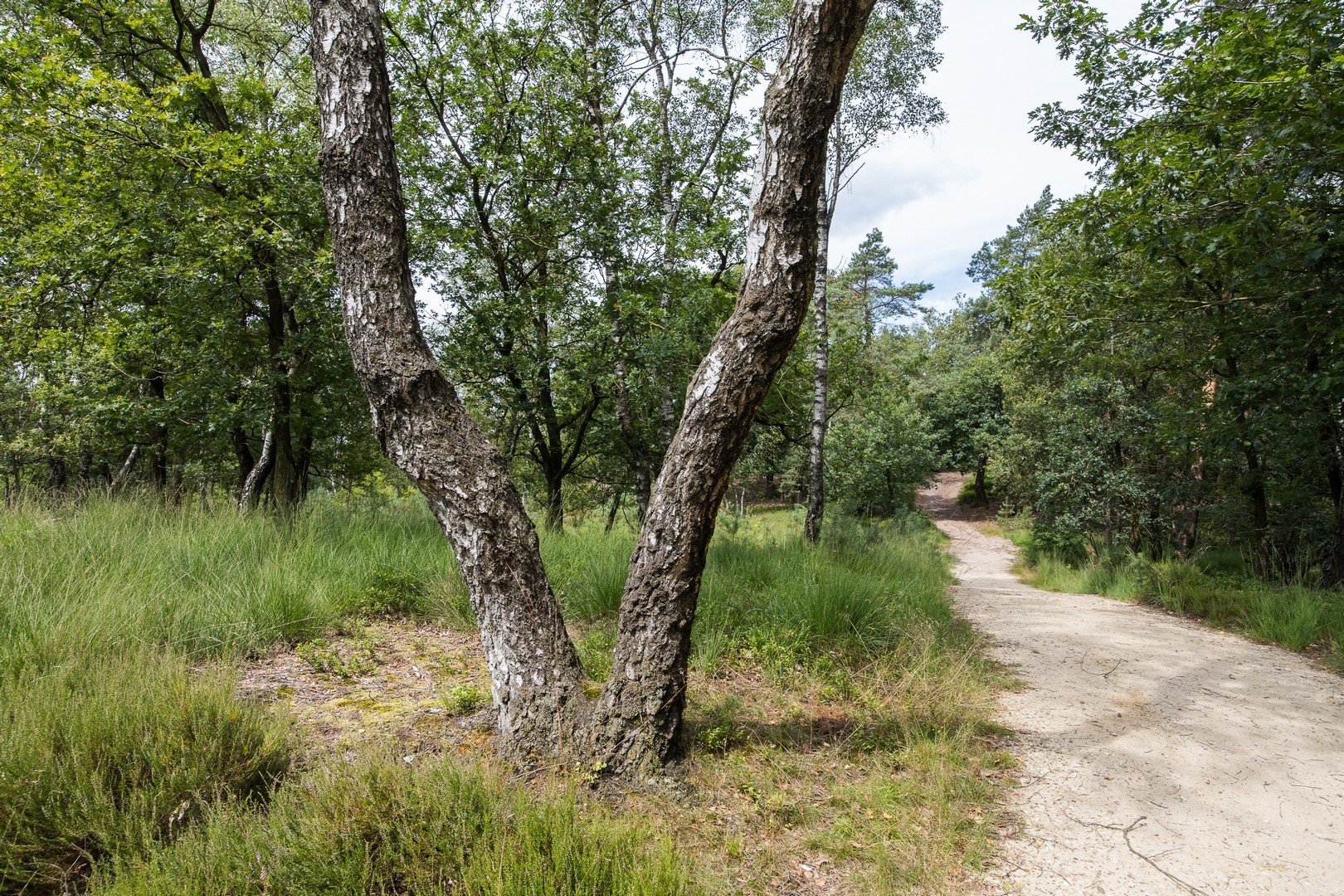 Luxe chalet veluwe sauna en hottub 61
