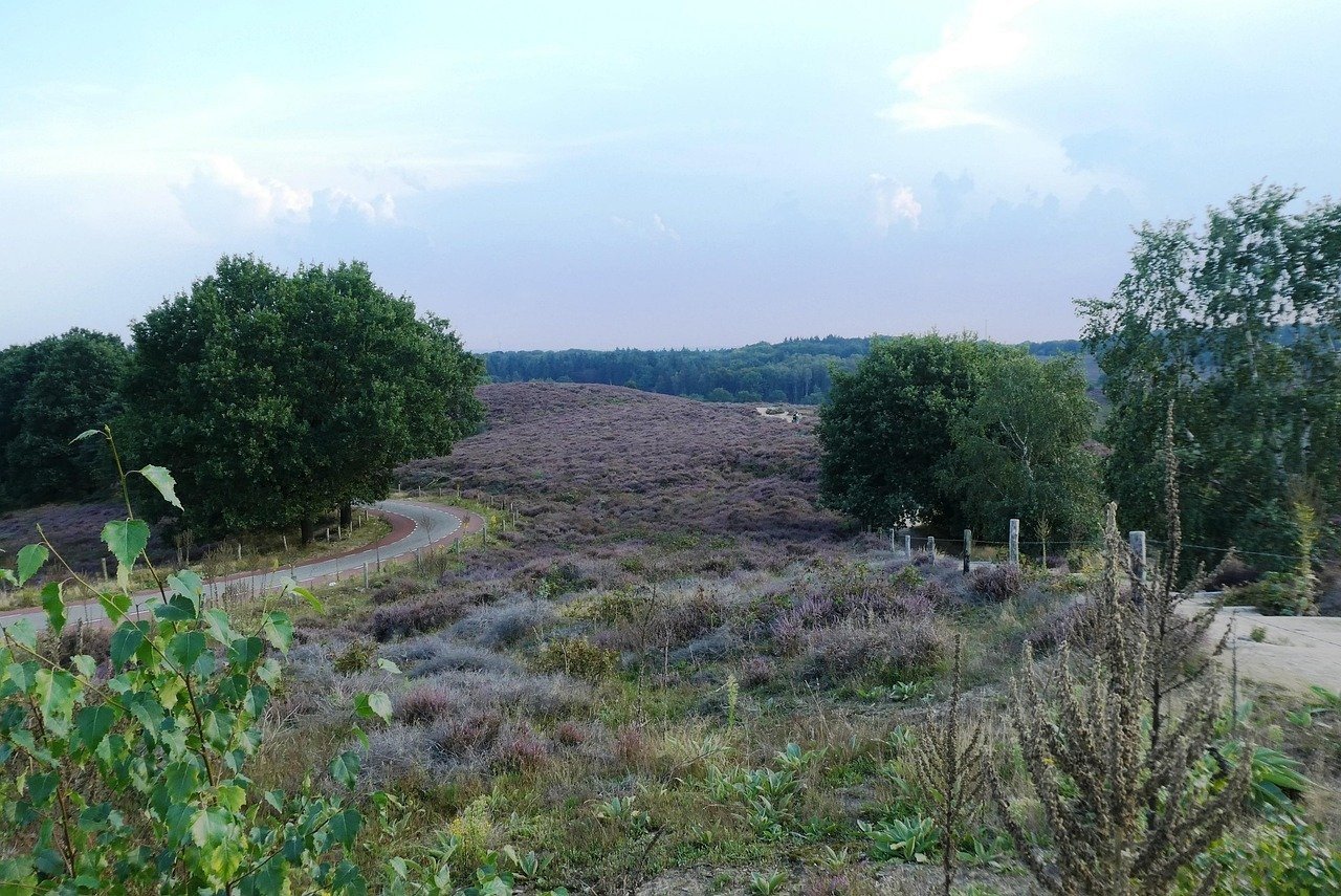 Mooiste plekjes in de natuur